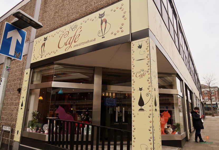Kitty Café en Nottingham.