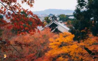 Dónde alojarse en Kioto. Mejores zonas y hoteles recomendados