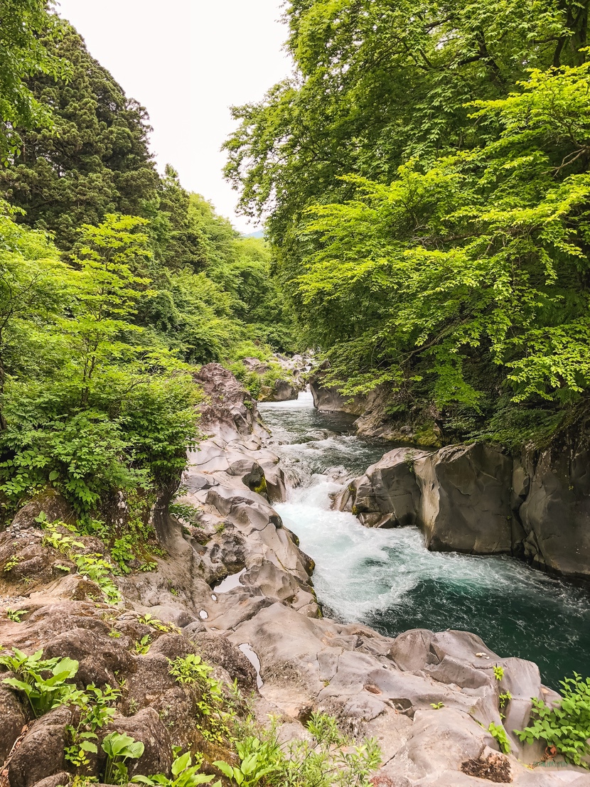 Naturaleza en Nikko.