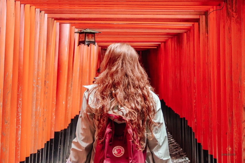 Fushimi Inari Taisha.