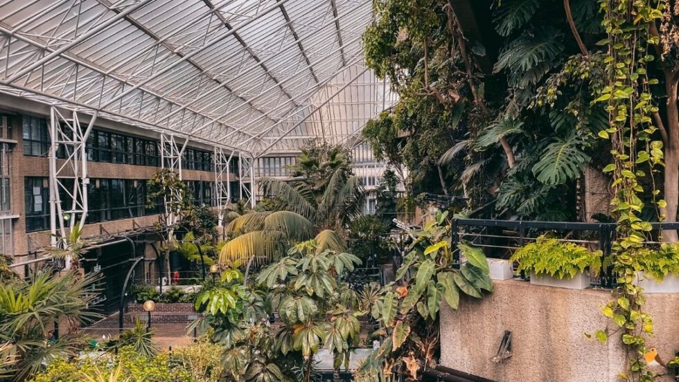Barbican Conservatory