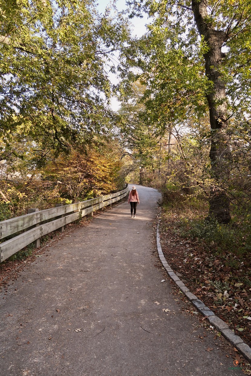 Perderse en Central Park