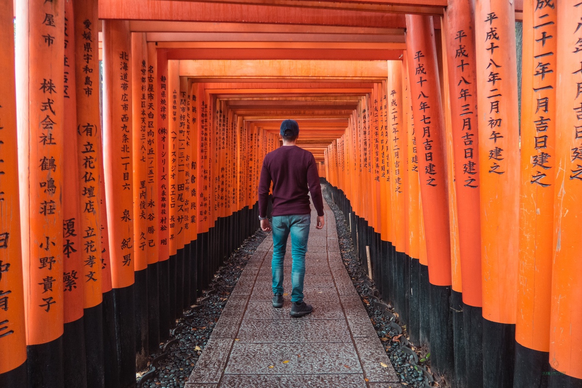 Toriis de Fushimi Inari