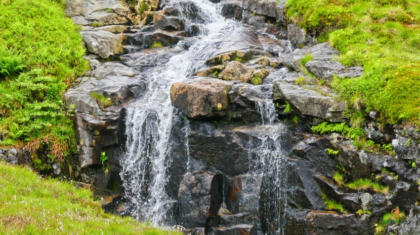 Agua y vegetación en las Highlands.