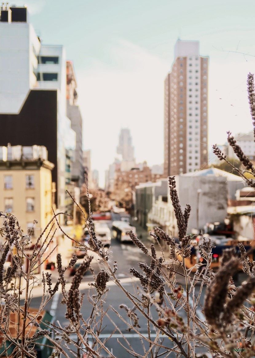 The High Lane en Manhattan