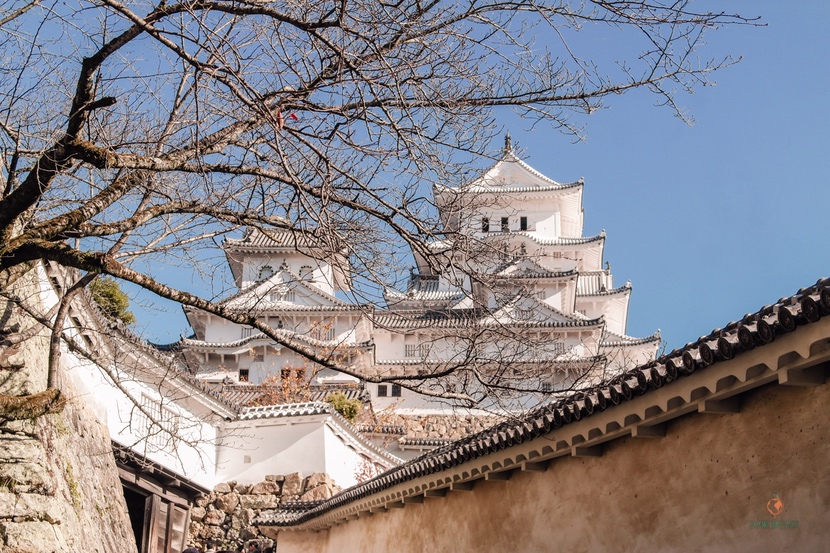 Garza blanca Himeji.
