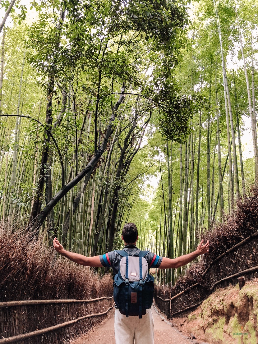 Bamboo Arashiyama.