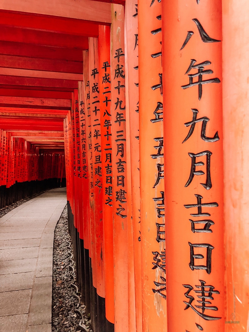 Toriis Fushimi Inari.