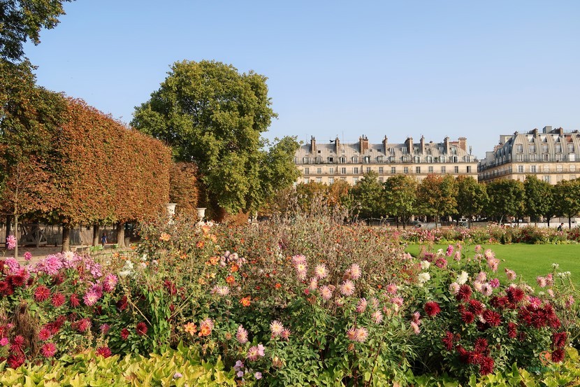 Jardin des Tuileries en Paris, preciosos cualquier época.