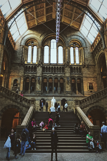 Museo Historia Natural