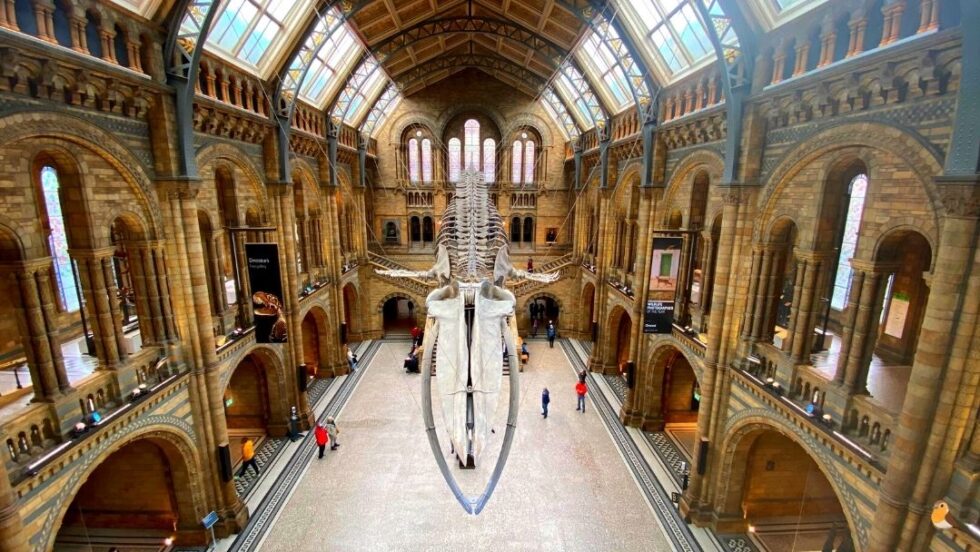 viajar a Londres: Museo de historia natural
