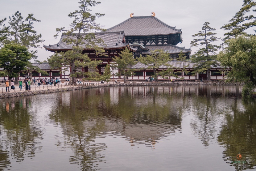 Todaiji, imprescindibles en Japón.