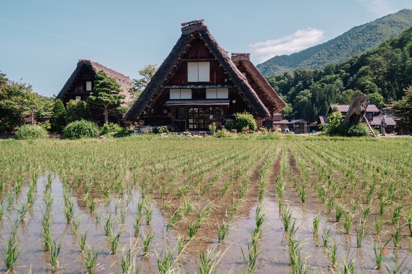 Casa Shirakawago.