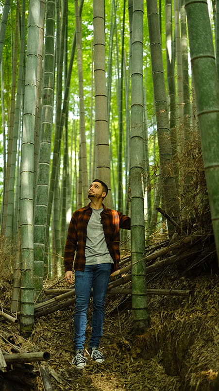 Los imprescindibles para viajar a Japón