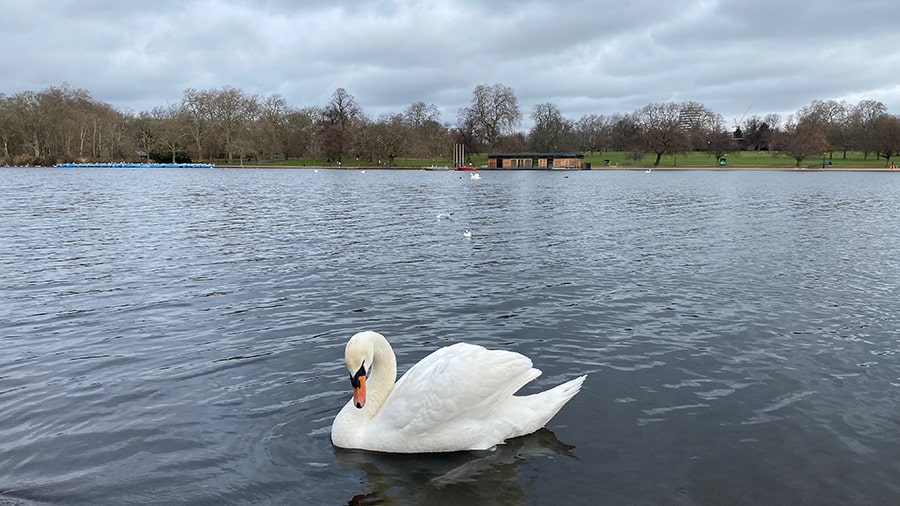 Eventos durante el mes de abril