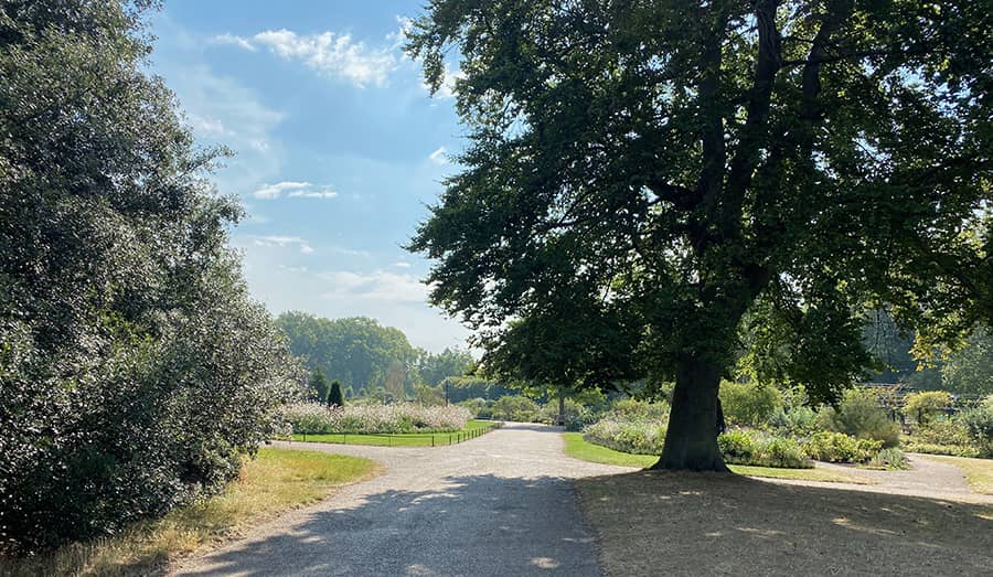 Eventos durante el mes de junio