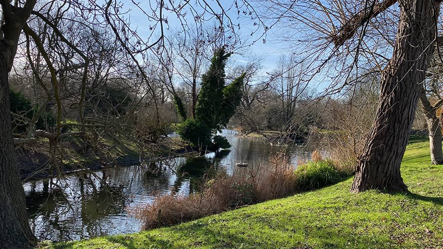 Eventos durante febrero