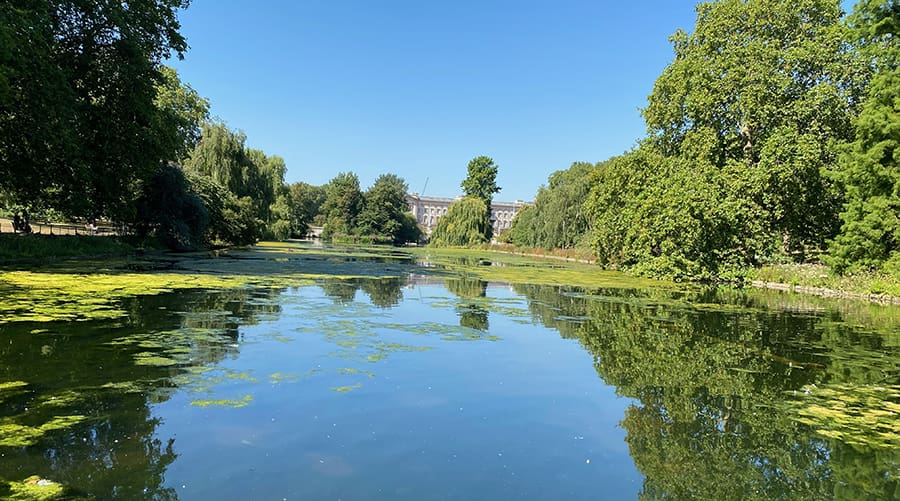 Eventos en el mes de julio