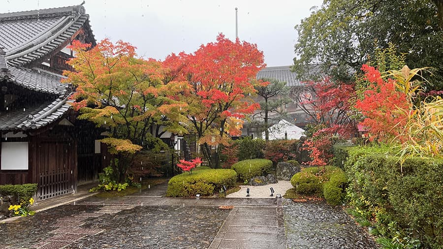 Lugares que visitar en Tokio y Kioto