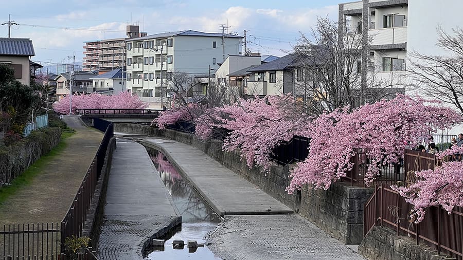 Viajar Japón en 2025
