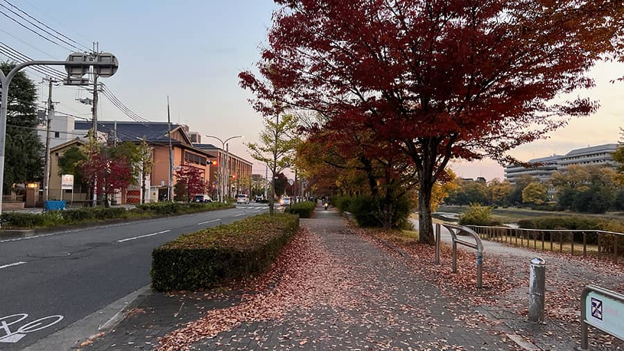 Otras aplicaciones para Japón