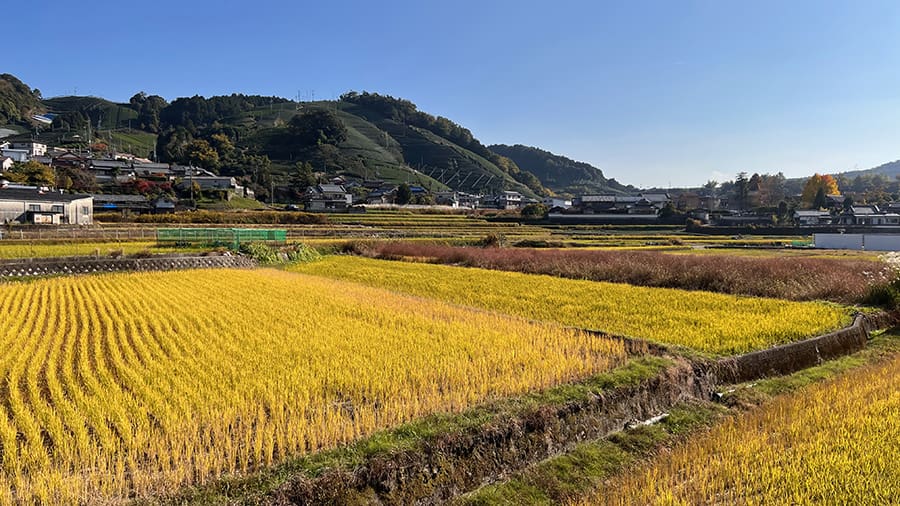 Registro de viajeros Japón
