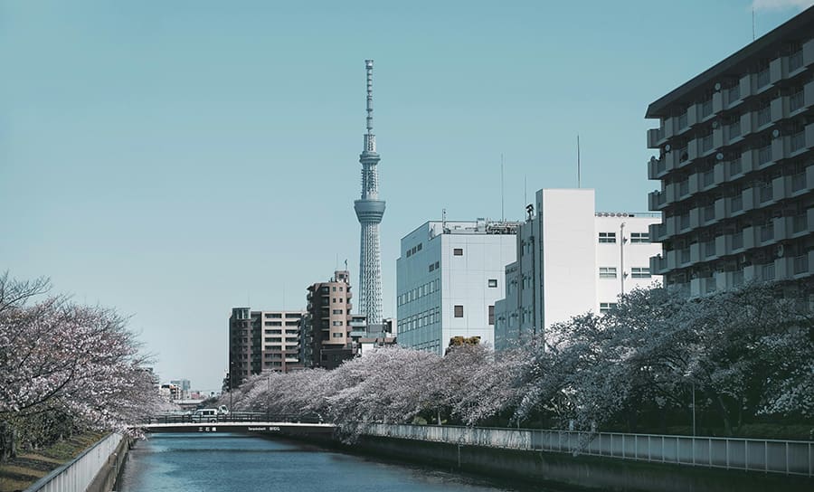 Mejores miradores Tokio