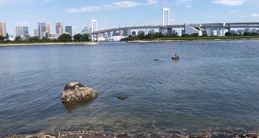 Telecom center observatory