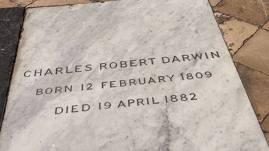 Tumba de Charles Darwin