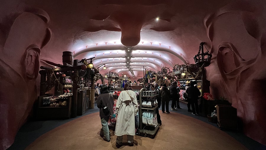 Mermaid Lagoon interior ballena