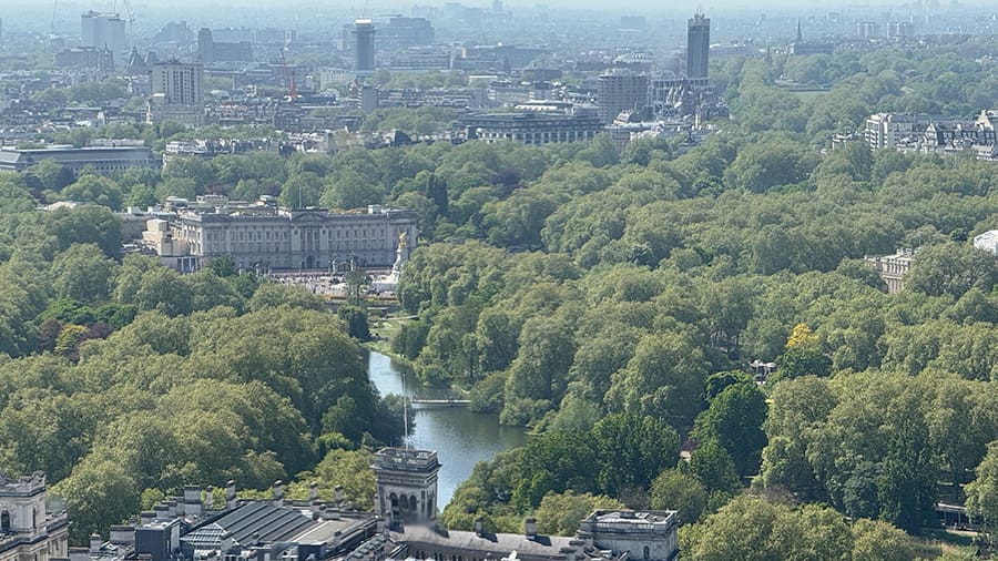 Palacio de Buckingham desde el London Eye