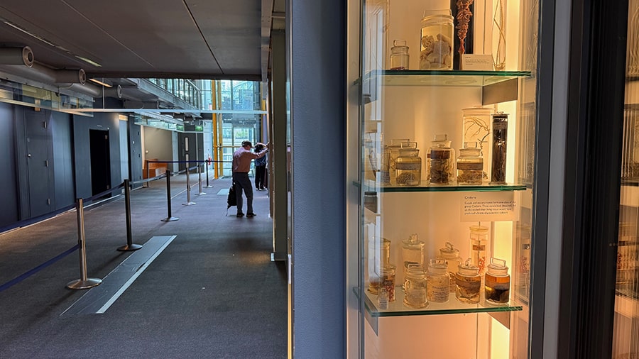 Muestras científicas