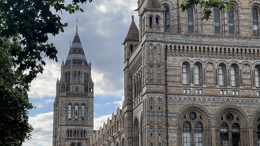 Museo de Historia Natural