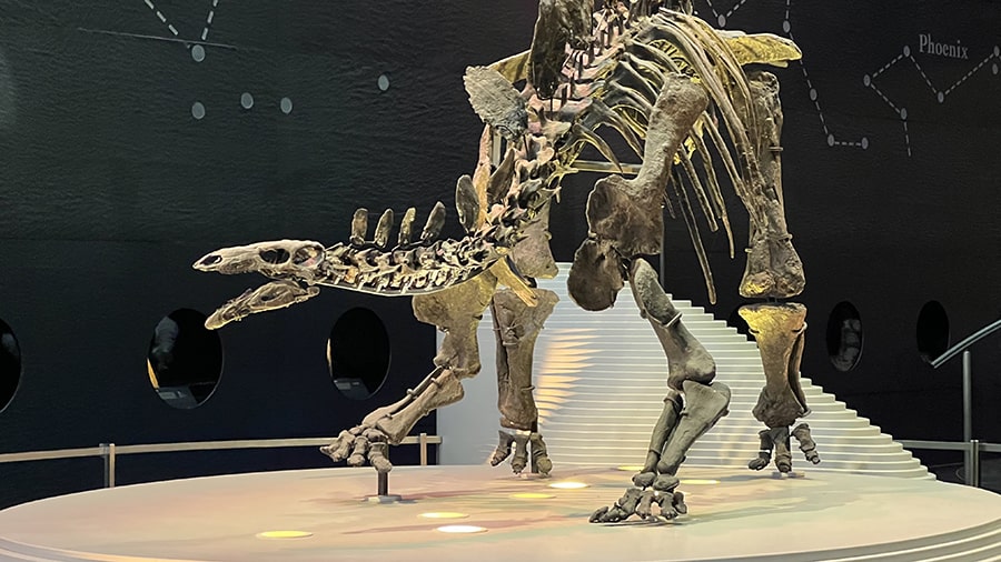 Sala de esqueletos de dinosaurios