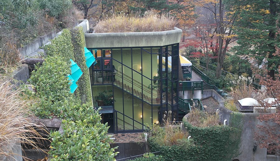 Alternativa oficial con los tours guiados