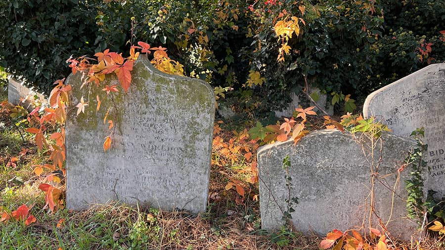 Cementerio de Brompton