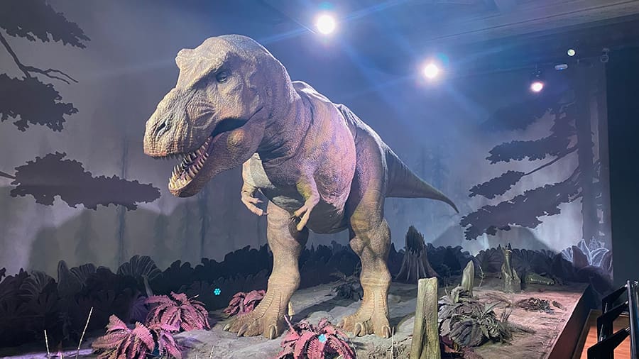 Museo de historia natural en Londres