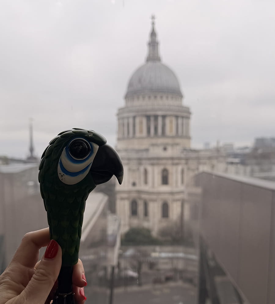 Catedral de St. Paul