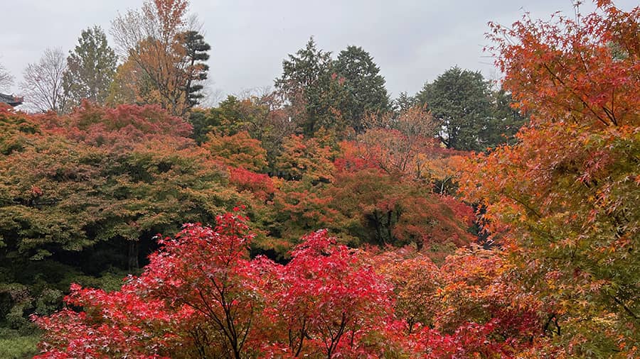 Paisaje de otoño en Japón