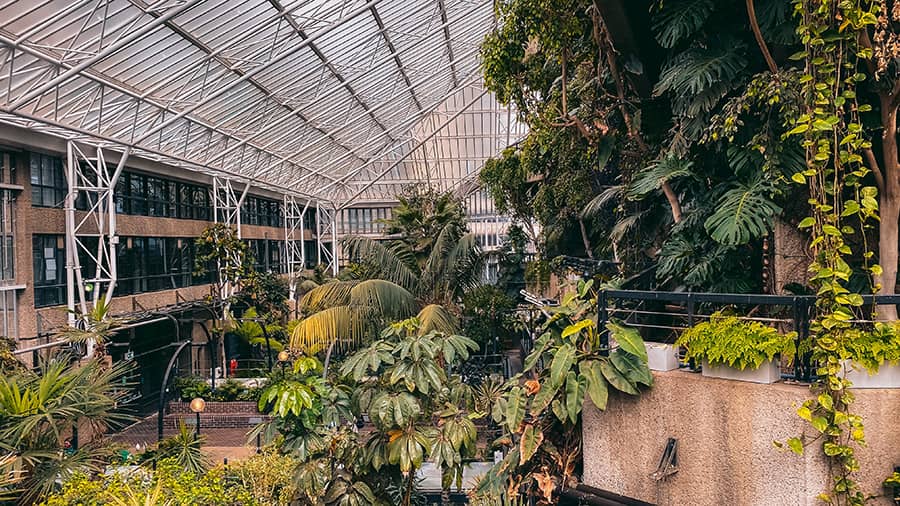 Barbican Conservatory