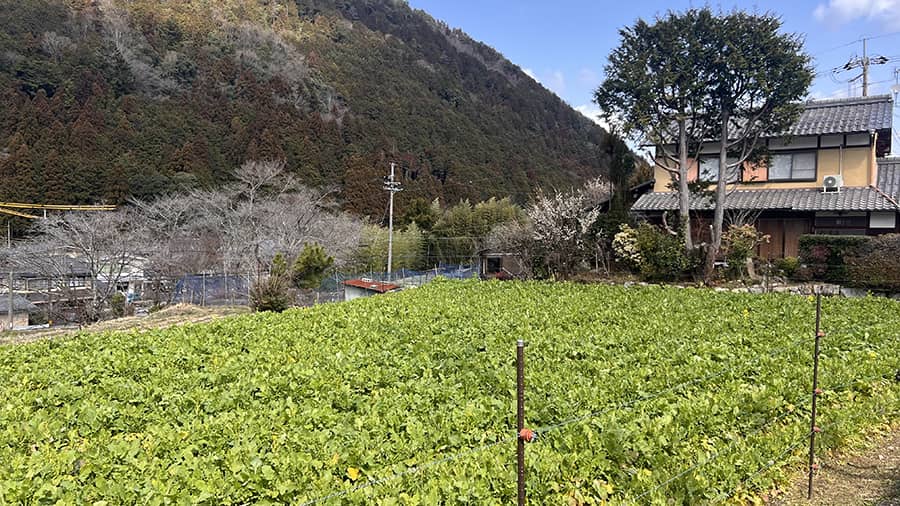 Casas tradicionales