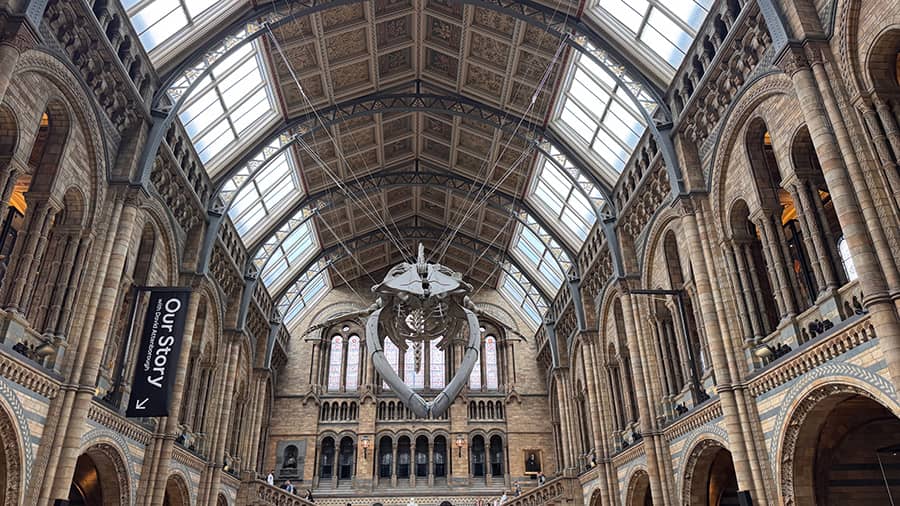 El Museo de Historia Natural de Londres no tiene aire acondicionado