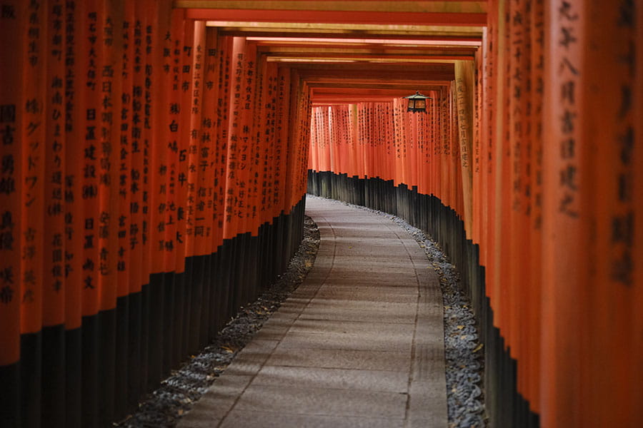 El Senbon Torii
