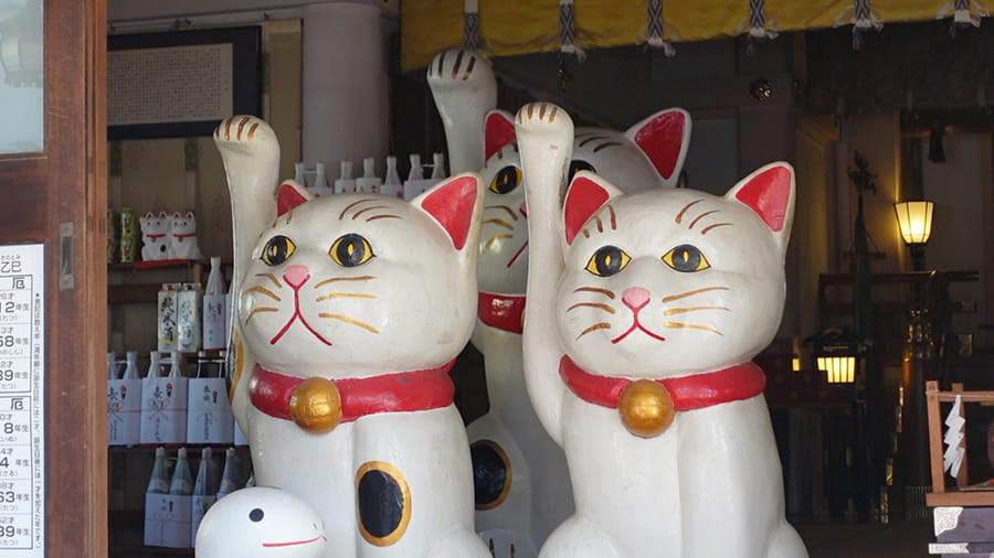 Santuario Imado Jinja la cuna del gato de la suerte